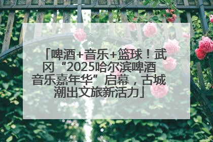 啤酒+音乐+篮球！武冈“2025哈尔滨啤酒音乐嘉年华”启幕，古城潮出文旅新活力