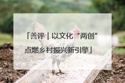 善评｜以文化“两创”点燃乡村振兴新引擎