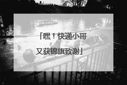 嘿！快递小哥又获锦旗致谢