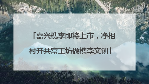 嘉兴槜李即将上市，净相村开共富工坊做槜李文创
