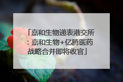 嘉和生物递表港交所：嘉和生物+亿腾医药战略合并即将收官