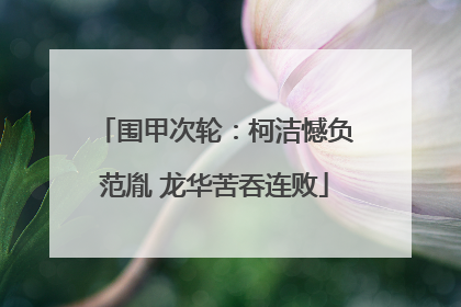 围甲次轮：柯洁憾负范胤 龙华苦吞连败