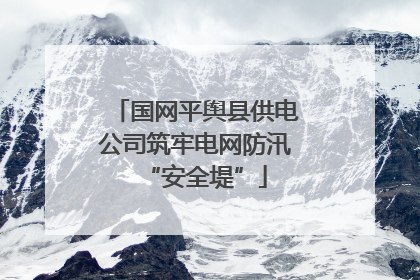 国网平舆县供电公司筑牢电网防汛“安全堤”