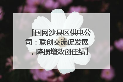 国网沙县区供电公司：联创交流促发展，降损增效创佳绩
