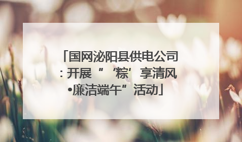 国网泌阳县供电公司：开展“‘粽’享清风 •廉洁端午”活动