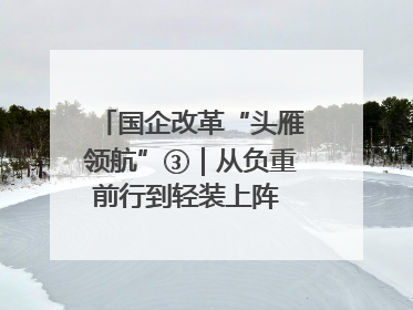 国企改革“头雁领航”③｜从负重前行到轻装上阵 重庆以“瘦身”谋“健体”