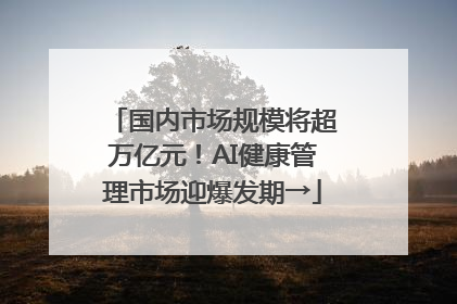 国内市场规模将超万亿元！AI健康管理市场迎爆发期→