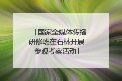 国家全媒体传播研修班在石林开展参观考察活动