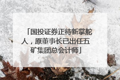国投证券正待新掌舵人，原董事长已出任五矿集团总会计师