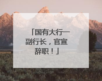 国有大行一副行长，官宣辞职！