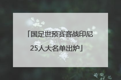 国足世预赛客战印尼25人大名单出炉