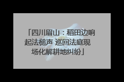 四川眉山：稻田边响起法槌声 巡回法庭现场化解耕地纠纷
