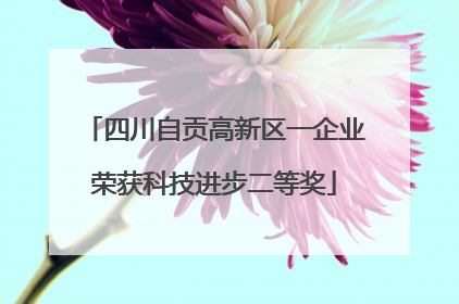 四川自贡高新区一企业荣获科技进步二等奖