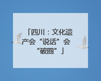 四川：文化遗产会“说话”会“破圈”