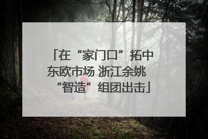 在“家门口”拓中东欧市场 浙江余姚“智造”组团出击