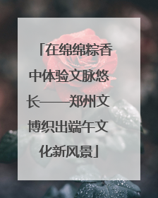 在绵绵粽香中体验文脉悠长——郑州文博织出端午文化新风景