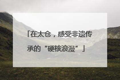 在太仓，感受非遗传承的“硬核浪漫”