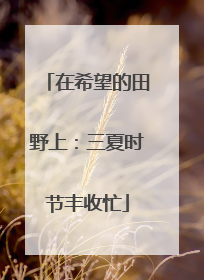 在希望的田野上：三夏时节丰收忙