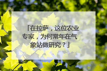 在拉萨，这位农业专家，为何常年在气象站做研究？