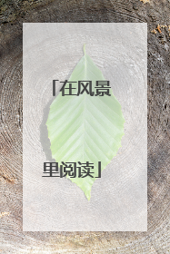 在风景里阅读