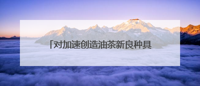 对加速创造油茶新良种具有重要意义 湖南构建四倍体油茶高精度基因图谱