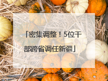 密集调整！5位干部跨省调任新疆