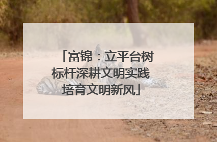 富锦：立平台树标杆深耕文明实践培育文明新风