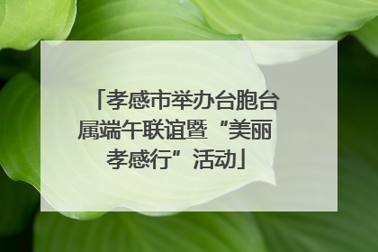 孝感市举办台胞台属端午联谊暨“美丽孝感行”活动