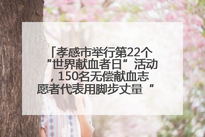 孝感市举行第22个“世界献血者日”活动，150名无偿献血志愿者代表用脚步丈量“中华孝爱第一山”