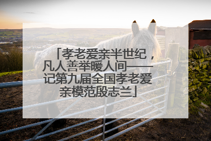 孝老爱亲半世纪，凡人善举暖人间——记第九届全国孝老爱亲模范殷志兰