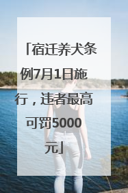 宿迁养犬条例7月1日施行，违者最高可罚5000元