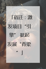 宿迁：激发项目“引擎” 挺起发展“脊梁”