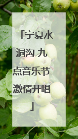 宁夏水洞沟 九点音乐节激情开唱