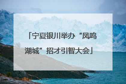宁夏银川举办“凤鸣湖城”招才引智大会