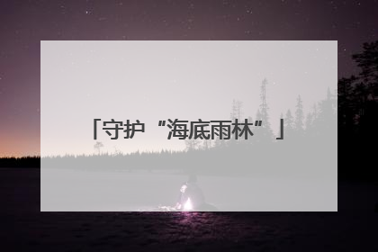 守护“海底雨林”