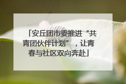 安丘团市委推进“共青团伙伴计划”，让青春与社区双向奔赴