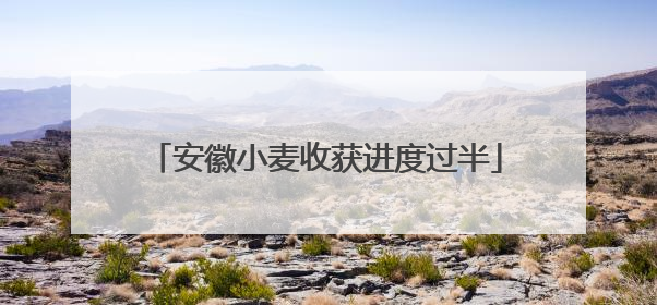 安徽小麦收获进度过半