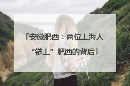 安徽肥西：两位上海人“链上”肥西的背后