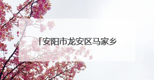 安阳市龙安区马家乡：开展“安全生产月”活动 打造平安乡镇