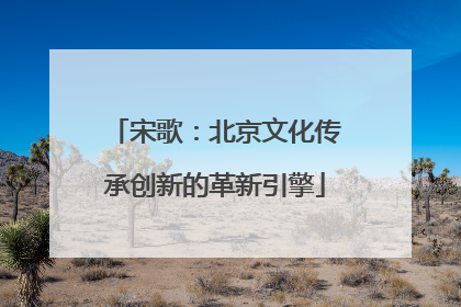 宋歌：北京文化传承创新的革新引擎