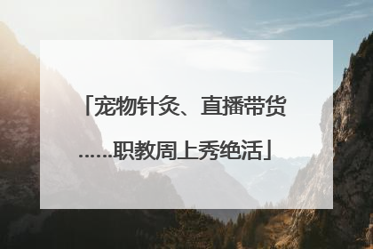 宠物针灸、直播带货……职教周上秀绝活
