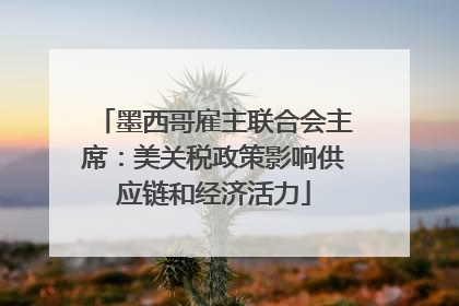 墨西哥雇主联合会主席：美关税政策影响供应链和经济活力
