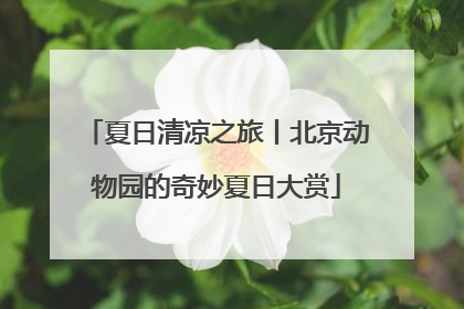 夏日清凉之旅丨北京动物园的奇妙夏日大赏