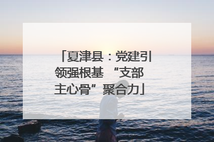 夏津县：党建引领强根基 “支部主心骨”聚合力