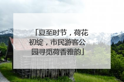 夏至时节，荷花初绽，市民游客公园寻觅荷香雅韵