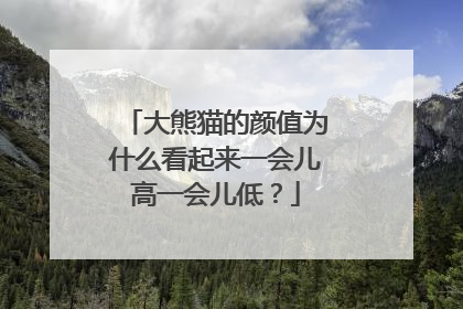 大熊猫的颜值为什么看起来一会儿高一会儿低？