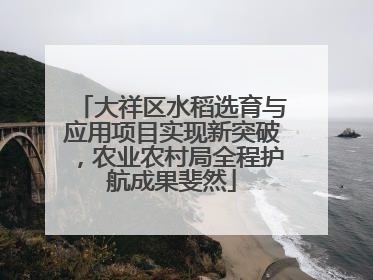 大祥区水稻选育与应用项目实现新突破，农业农村局全程护航成果斐然
