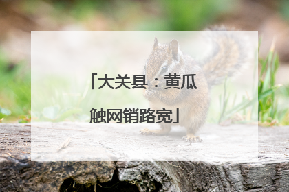 大关县：黄瓜触网销路宽