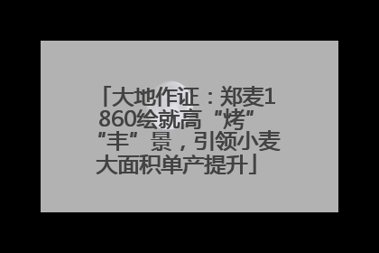大地作证：郑麦1860绘就高“烤”“丰”景，引领小麦大面积单产提升
