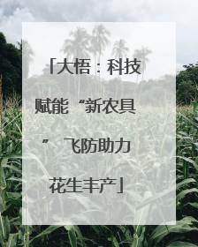 大悟：科技赋能“新农具” 飞防助力花生丰产